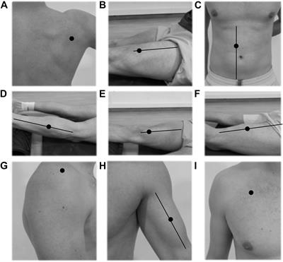 Influence of Strength, Power, and Muscular Stiffness on Stroke Velocity in Junior Tennis Players